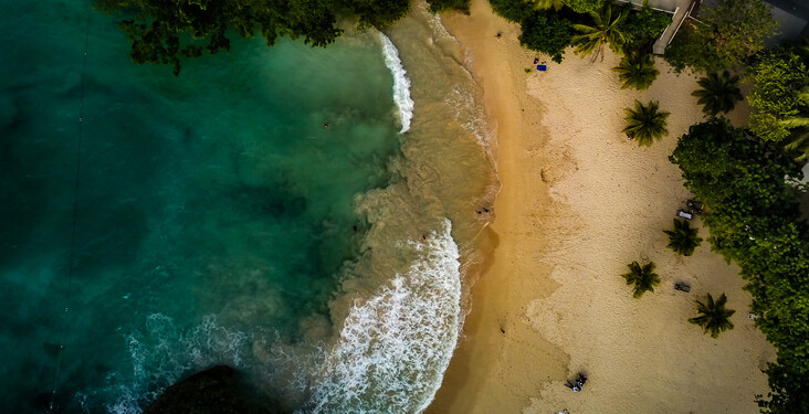 Where to go in January